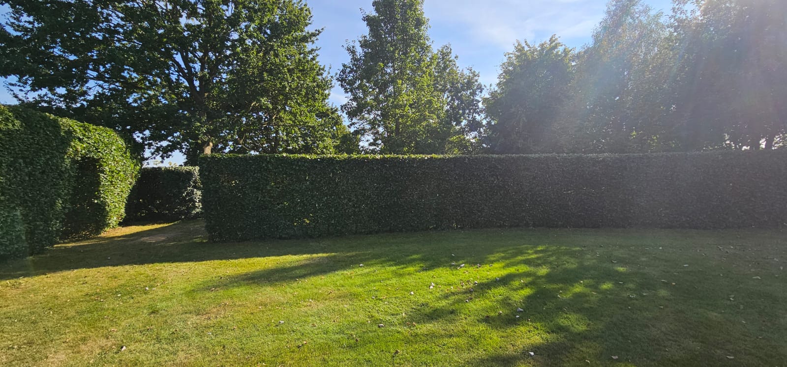 Formal box hedge enclosure